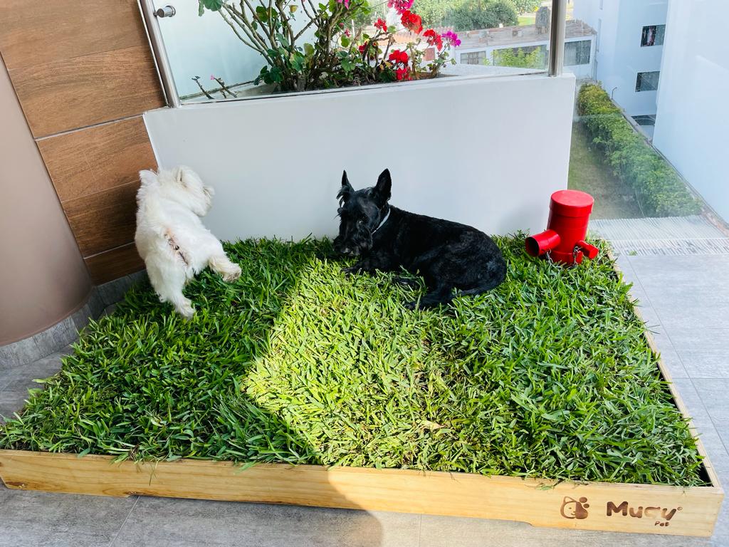 GRIFFO MUAU – Accesorio Marcador para MUAUBOX