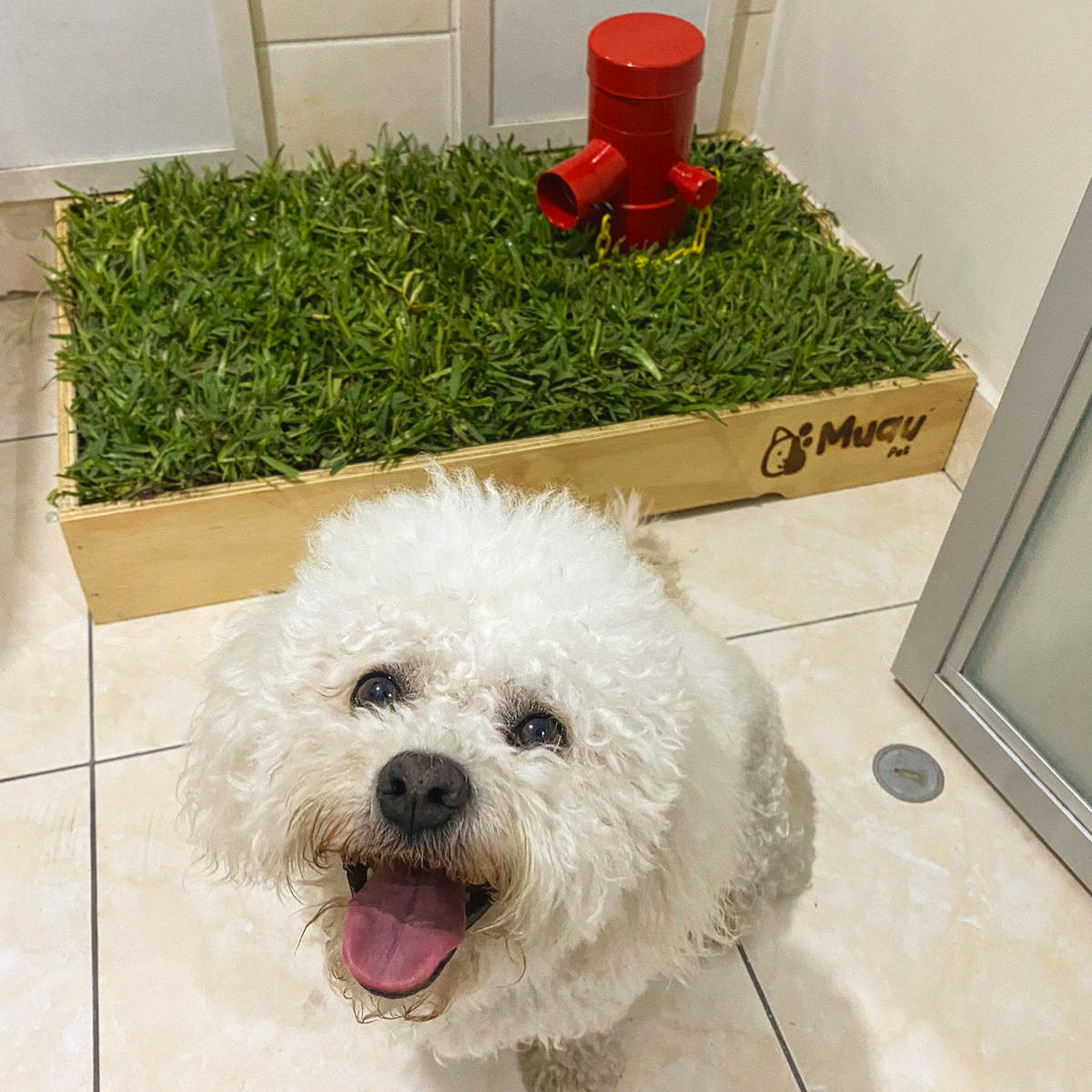 PERSONALIZA TU MUAUBOX