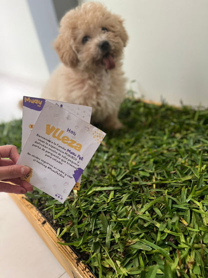 MUAUBOX DELUXE L — Sanitario Natural para Mascotas (81x53cm)