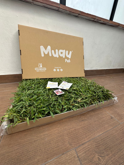 MUAUBOX BASIC | SANITARIO NATURAL