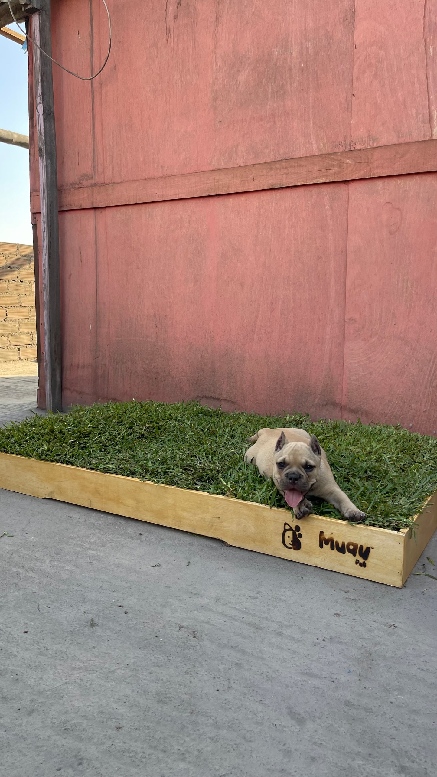 MUAUBOX DELUXE XXL — Sanitario Natural para Mascotas (144x94cm)
