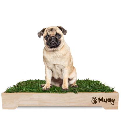 MUAUBOX DELUXE L — Sanitario Natural para Mascotas (81x53cm)