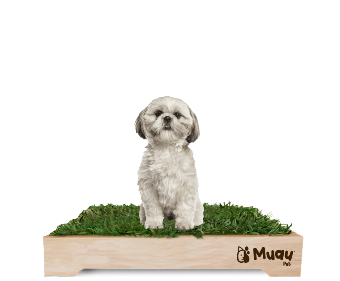 MUAUBOX DELUXE M — Sanitario Natural para Mascotas (70x50cm)