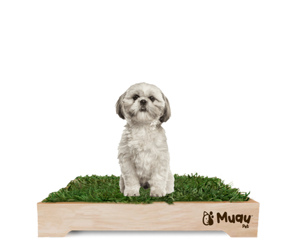 MUAUBOX DELUXE M — Sanitario Natural para Mascotas (70x50cm)