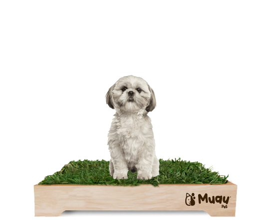 MUAUBOX DELUXE M | SANITARIO NATURAL
