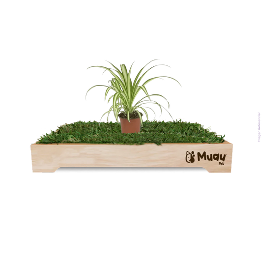 PALMERA MARCADORA MUAU – Accesorio Decorativo para MUAUBOX