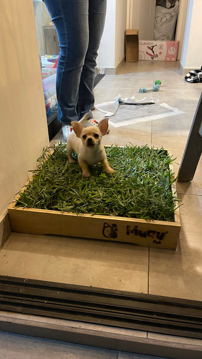 MUAUBOX DELUXE S — Sanitario Natural para Mascotas (50x50cm)