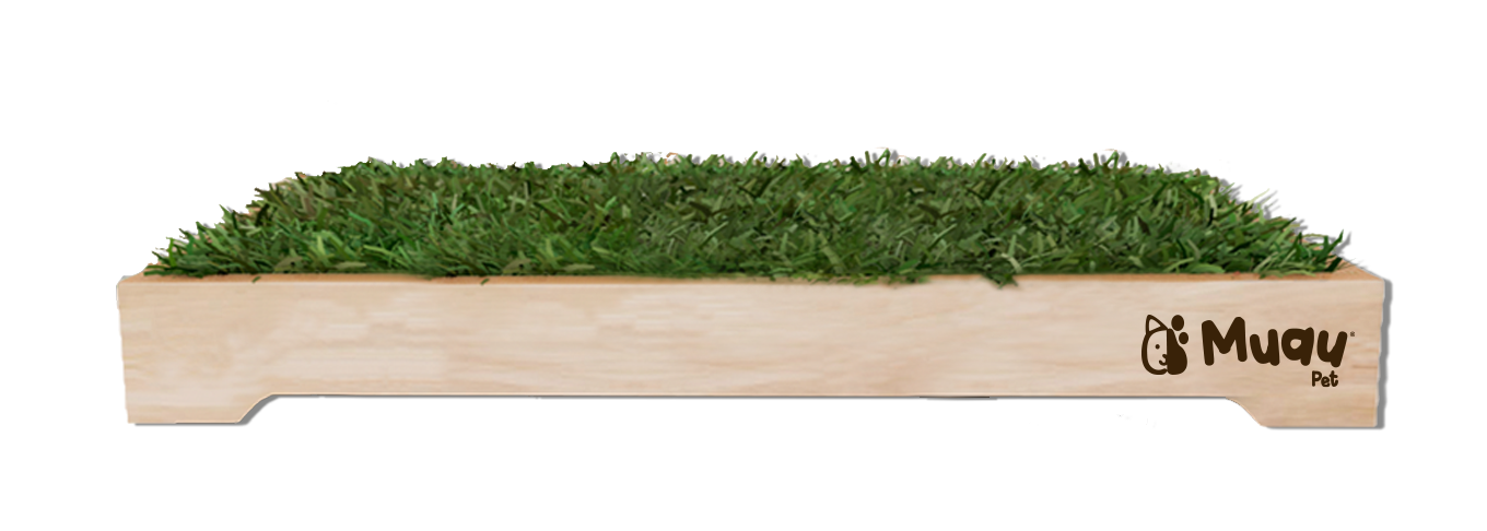 MUAUBOX DELUXE XL — Sanitario Natural para Mascotas (93x74cm)