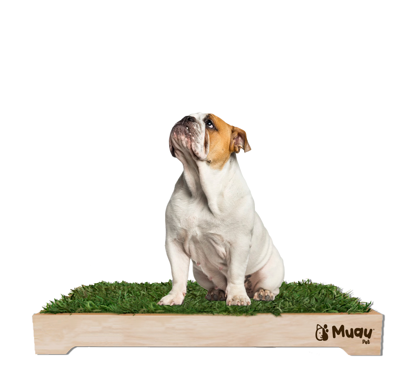 MUAUBOX DELUXE XL — Sanitario Natural para Mascotas (93x74cm)