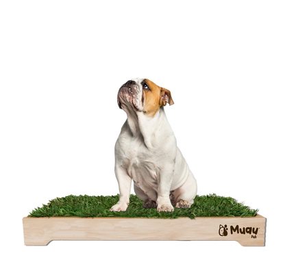 MUAUBOX DELUXE XL — Sanitario Natural para Mascotas (93x74cm)