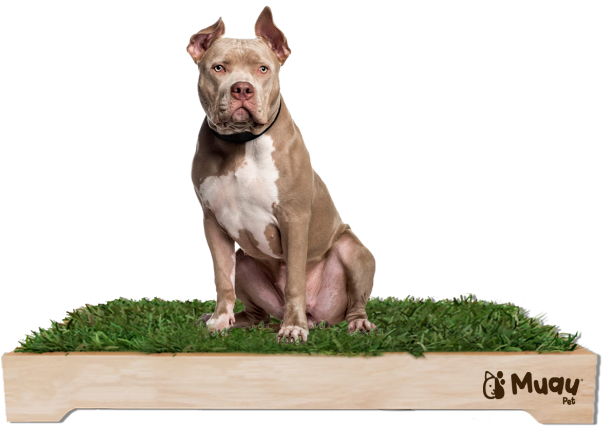 MUAUBOX DELUXE XL — Sanitario Natural para Mascotas (93x74cm)