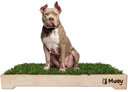 MUAUBOX DELUXE XL — Sanitario Natural para Mascotas (93x74cm)