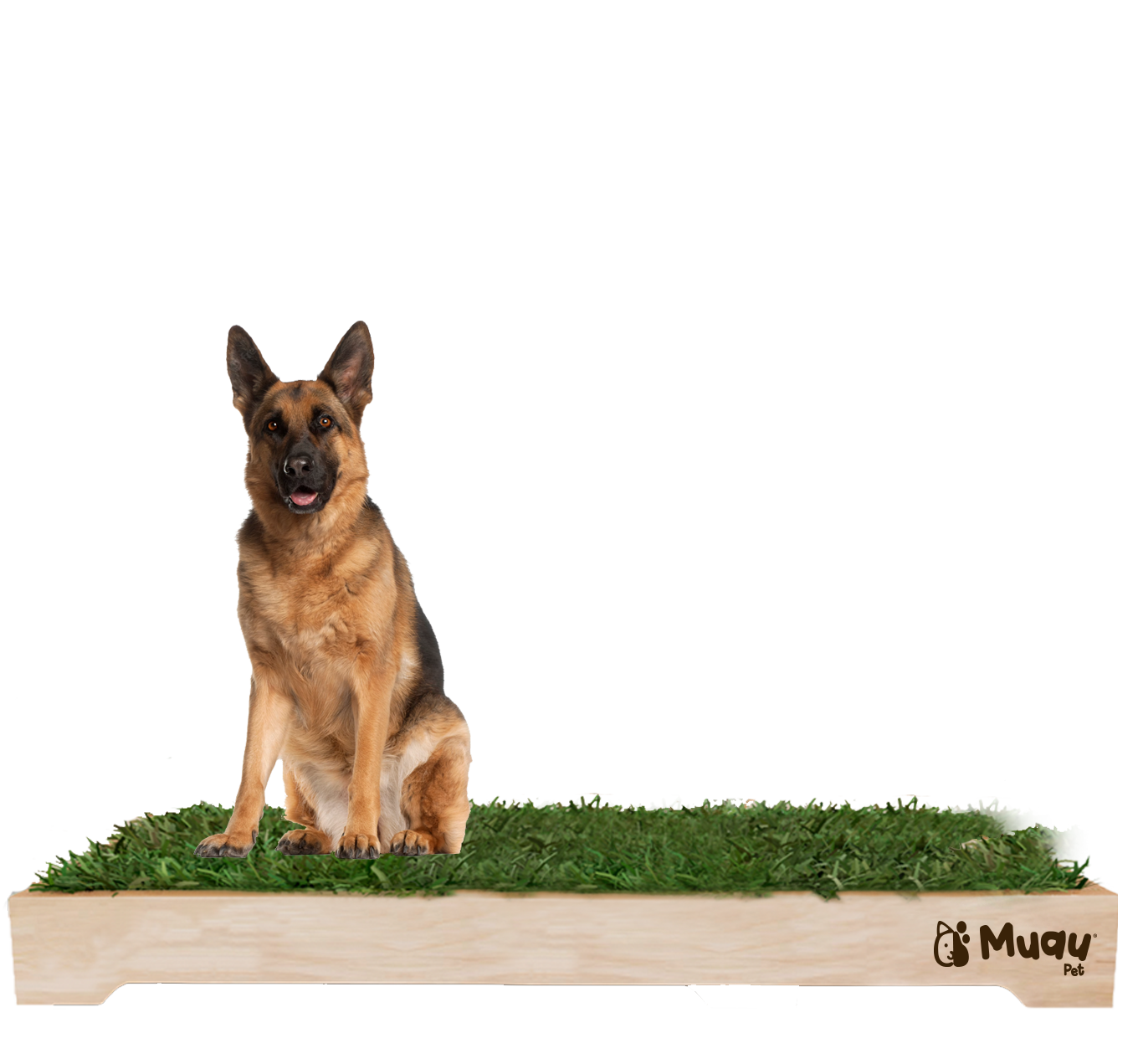 MUAUBOX DELUXE XXL — Sanitario Natural para Mascotas (144x94cm)