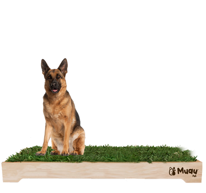 MUAUBOX DELUXE XXL — Sanitario Natural para Mascotas (144x94cm)
