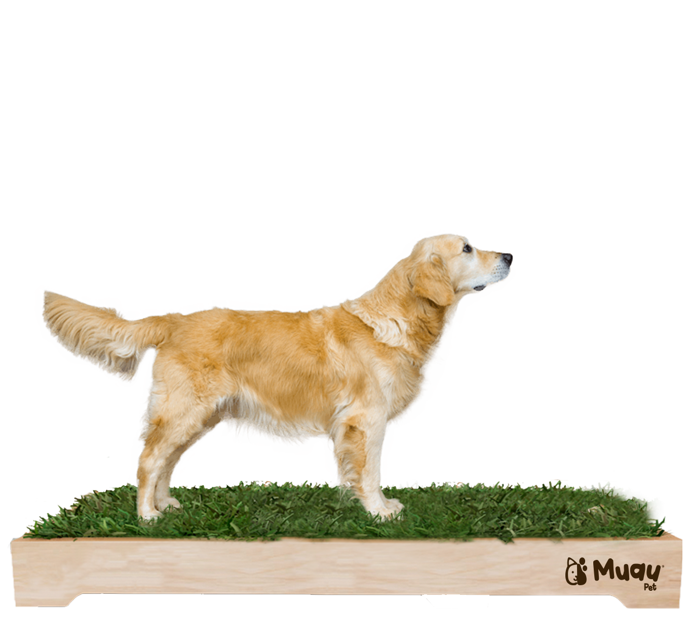 MUAUBOX DELUXE XXL — Sanitario Natural para Mascotas (144x94cm)