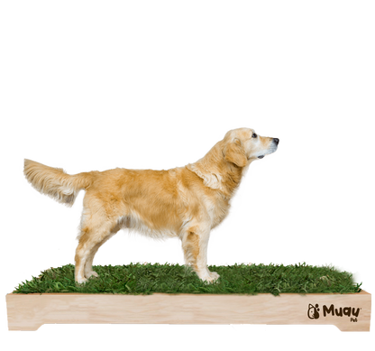 MUAUBOX DELUXE XXL — Sanitario Natural para Mascotas (144x94cm)
