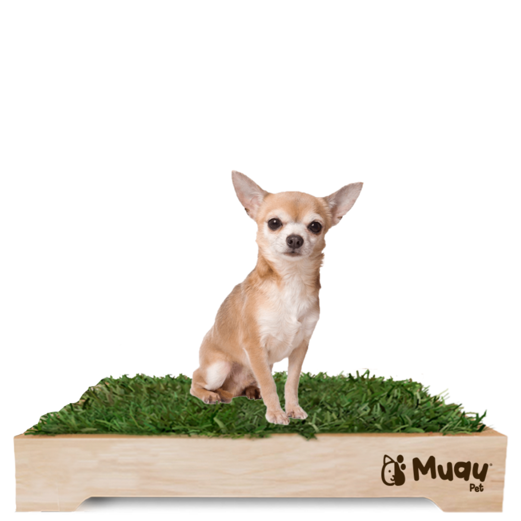 MUAUBOX DELUXE S — Sanitario Natural para Mascotas (50x50cm)