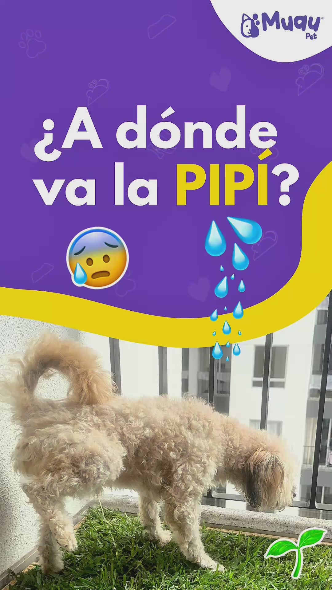 Cargar video: 